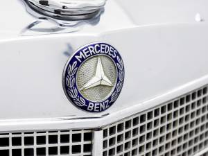 Bild 8/31 von Mercedes-Benz 250 SE (1967)