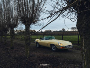 Image 12/29 de Jaguar E-Type (1969)