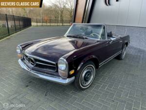 Immagine 4/13 di Mercedes-Benz 280 SL (1969)