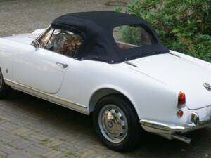 Afbeelding 9/53 van Alfa Romeo Giulietta Spider (1960)