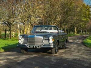 Image 7/50 de Mercedes-Benz 280 SE 3,5 (1971)