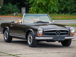 Bild 10/20 von Mercedes-Benz 280 SL (1971)