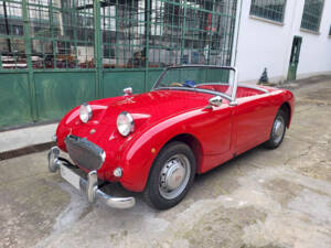 Image 1/51 of Austin-Healey Sprite Mk I (1960)