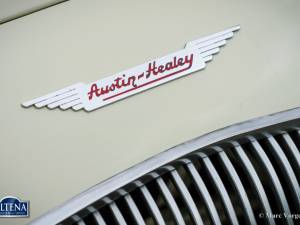 Imagen 16/50 de Austin-Healey 100&#x2F;4 (BN1) (1953)