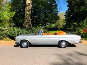 Bild 49/50 von Mercedes-Benz 220 SE b (1963)