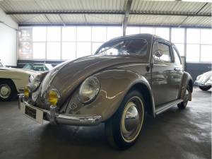 Immagine 12/27 di Volkswagen Coccinelle 1200 Standard &quot;Oval&quot; (1955)