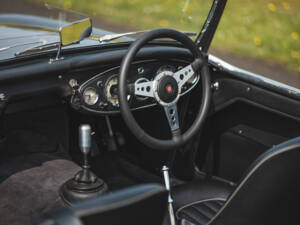 Immagine 16/50 di Austin-Healey 3000 Mk I (BT7) (1959)