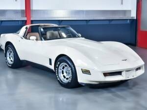 Immagine 1/7 di Chevrolet Corvette (1981)