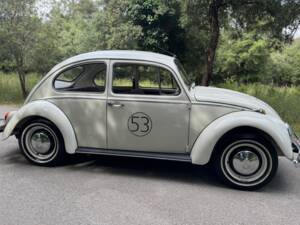 Afbeelding 11/27 van Volkswagen Käfer 1300 (1966)