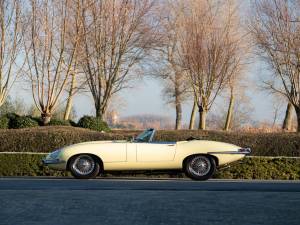 Bild 12/60 von Jaguar Type E 4.2 (1967)