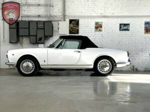 Bild 9/77 von Alfa Romeo Giulia 1600 Spider Veloce (1965)