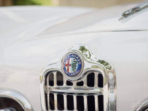 Image 27/71 de Alfa Romeo Giulietta Spider (1960)