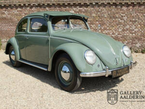 Image 16/50 of Volkswagen Beetle 1100 Standard (Brezel) (1951)