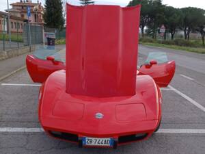 Imagen 10/12 de Chevrolet Corvette 25th Anniversary (1978)