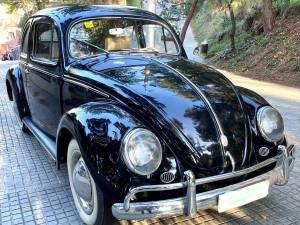 Image 1/31 of Volkswagen Beetle 1200 Export &quot;Oval&quot; (1954)