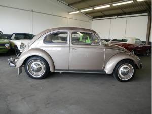Immagine 8/27 di Volkswagen Coccinelle 1200 Standard &quot;Oval&quot; (1955)