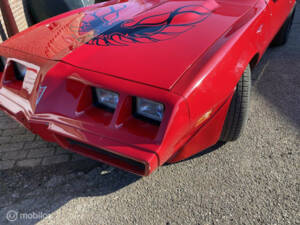 Image 49/50 of Pontiac Firebird TransAm (1982)