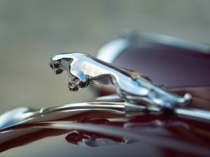Immagine 30/50 di Jaguar XK 150 FHC (1959)