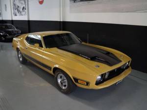 Image 17/50 of Ford Mustang Mach 1 (1973)