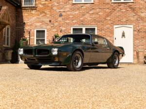 Immagine 29/49 di Pontiac Firebird TransAm (1973)
