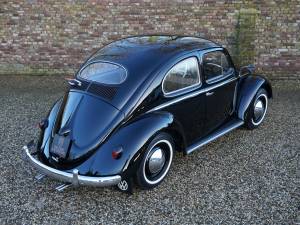 Immagine 41/50 di Volkswagen Beetle 1200 Standard &quot;Oval&quot; (1955)