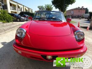 Immagine 8/10 di Alfa Romeo 1.6 Spider (1991)