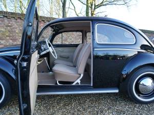 Immagine 16/50 di Volkswagen Beetle 1200 Standard &quot;Oval&quot; (1955)