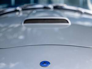 Bild 12/19 von AC Cobra 212 S&#x2F;C (2001)