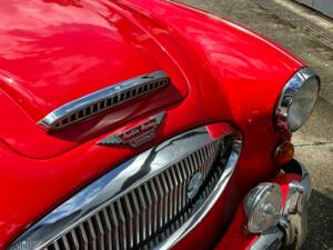 Immagine 6/29 di Austin-Healey 3000 Mk III (BJ8) (1966)