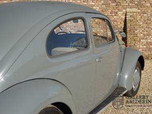 Immagine 26/50 di Volkswagen Beetle 1200 Standard &quot;Oval&quot; (1955)