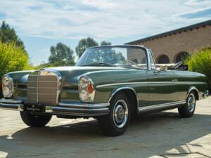 Immagine 9/50 di Mercedes-Benz 220 SE b (1964)