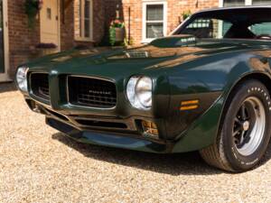 Immagine 19/49 di Pontiac Firebird TransAm (1973)