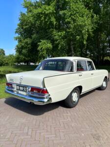 Image 4/64 of Mercedes-Benz 220 S b (1965)