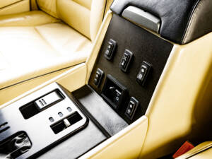 Immagine 20/45 di Land Rover Range Rover Classic 3.5 (2017)