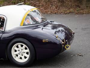 Immagine 6/23 di Austin-Healey 3000 Mk I (BN7) (1959)