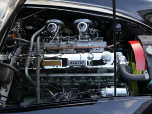 Immagine 14/42 di Austin-Healey 3000 Mk II (BJ7) (1963)