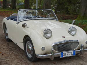 Image 4/25 of Austin-Healey Sprite Mk I (1959)