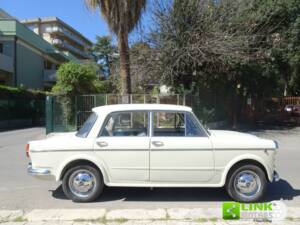 Bild 7/10 von FIAT 1100 Special (1961)