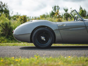 Immagine 36/50 di Austin-Healey 3000 Mk I (BT7) (1959)