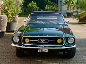Immagine 12/16 di Ford Mustang 302 (1967)