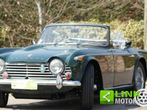 Immagine 4/10 di Triumph TR 4 (1965)