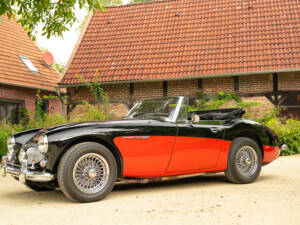 Imagen 8/62 de Austin-Healey 3000 Mk III (BJ8) (1965)