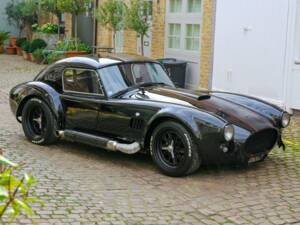 Bild 1/50 von AC Cobra 289 (2008)