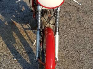 Imagen 11/19 de Benelli DUMMY (1951)