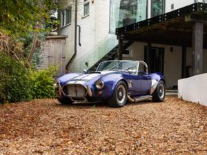 Image 47/50 of AC Cobra 289 (1997)