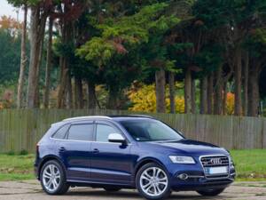 Image 28/50 of Audi SQ5 TDI (2014)