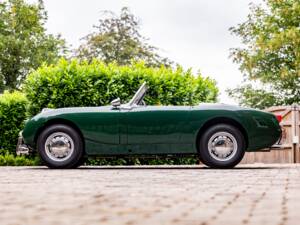 Bild 2/40 von Austin-Healey Sprite Mk I (1958)