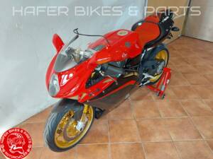 Immagine 8/50 di MV Agusta DUMMY (2004)