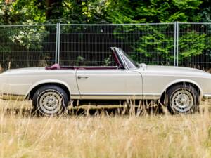 Image 2/46 de Mercedes-Benz 250 SL (1967)