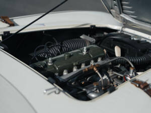 Image 40/50 of Austin-Healey 100 S (1955)